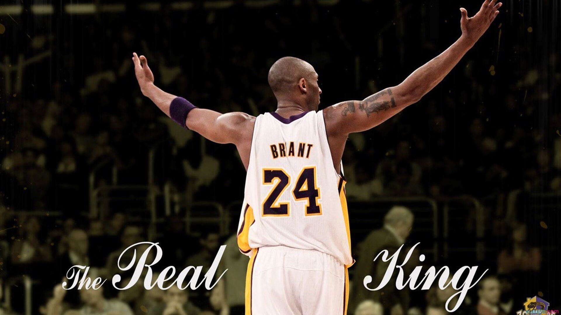 爱游戏ayx-避难所体育节:灾难中的坚持与希望